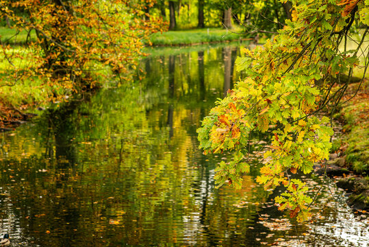 Goldene Herbstfarben im Schlosspark L&uuml;bbenau