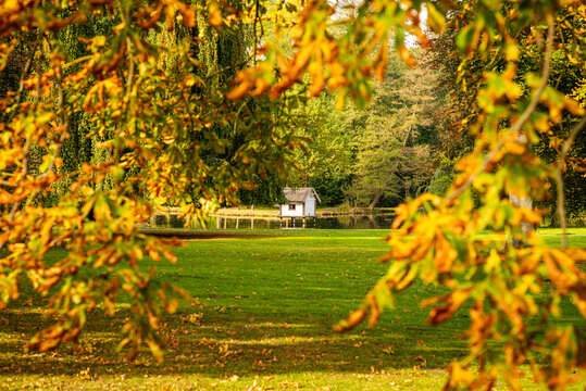 Herbstliche B&auml;ume im Schlosspark von L&uuml;bbenau im Spreewald
