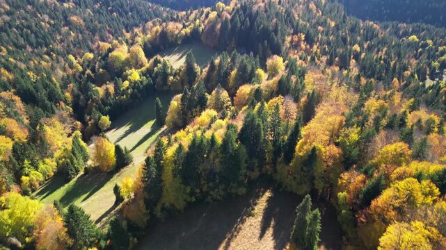 G&oacute;ry Gorce - Polska

Wieża widokowa w Magurkach i przepiękne widoki na Gorce i Tatruy na horyzoncie nagrane dronem w wysokiej jakości jesienną porą. Kolorowe drzewa, panorama g&oacute;r, Tatry, Gorce, drzewa