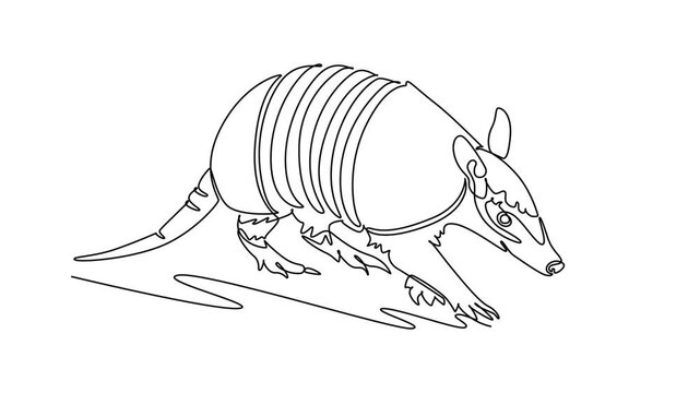 Self drawing animation of single line draw wild desert armadillo trotting forward across arid ground, banded armored shell, pointed snout, sharp burrowing claws. Continuous line. Full length animated