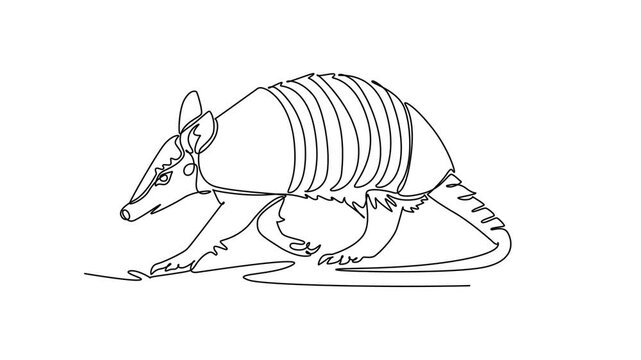 Animated self drawing of continuous line draw wild armored armadillo walking across arid ground, protective shell bands, pointed snout, ears, claws, and banded tail. Full length single line animation