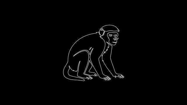 Monkey outline animation on a black background