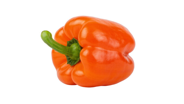 Isolated fresh ripe orange bell pepper with vibrant green stem, delicious healthy organic vegetable.