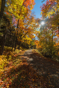 Upper Awosting carriage road  in Minnewaska State Park, NY, on a crisp and clear Autumn morning surrounded by vivid fall foliage