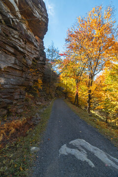 Upper Awosting carriage road  in Minnewaska State Park, NY, on a crisp and clear Autumn morning surrounded by vivid fall foliage