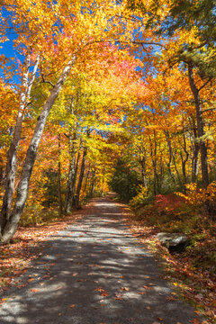 Upper Awosting carriage road  in Minnewaska State Park, NY, on a crisp and clear Autumn morning surrounded by vivid fall foliage