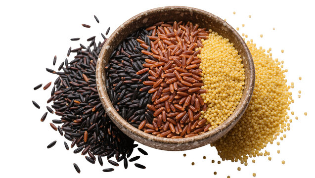 Isolated black rice, red rice, and millet grains in a ceramic bowl, healthy food ingredients