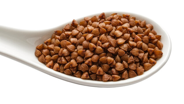 Isolated roasted buckwheat groats on a white spoon, a healthy gluten-free grain ingredient