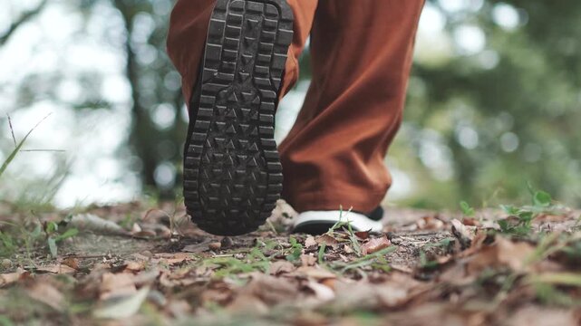 Close-Up of Walking on Fallen Autumn Leaves, Slow Motion