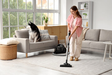 House cleaning and home maintenance, woman vacuuming carpet in living room with husky dog sitting on sofa, domestic chores and lifestyle routine © Pixel-Shot