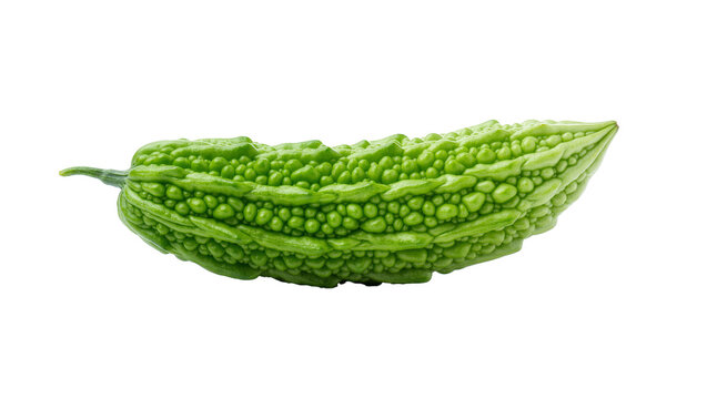 Isolated fresh green bitter melon fruit with bumpy texture, raw organic vegetable.