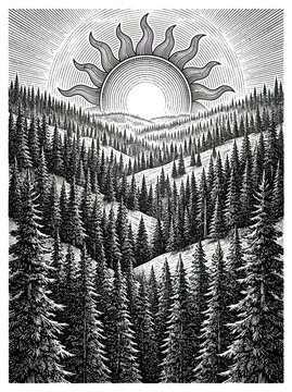 Sun rising over a pine forest valley in woodcut style