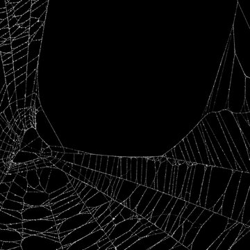 Real frost covered spider web. Authentic old and broken spiders web for an ominous haunted atmosphere. Eerie silhouette of a real dusty cobweb for a scary spooky Halloween backgrounds overlay.