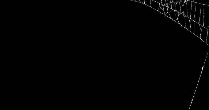 Real spider web background slowly moving in top corner frame. Detailed spiders web movement. Eerie silhouette of a real torn cobweb border for spooky Halloween backgrounds overlay. Seamless Loop.