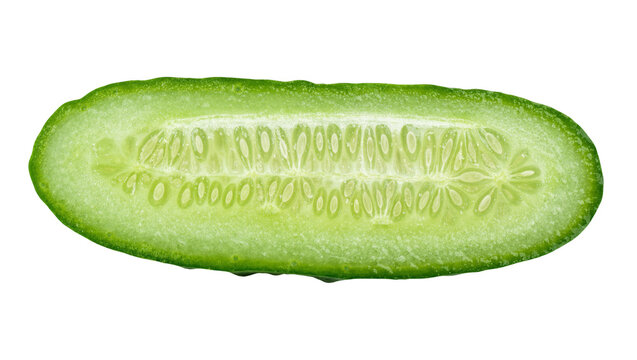 Isolated perfectly fresh green cucumber slice displaying its vibrant natural texture and seeds