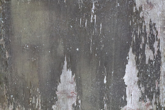 Close Up Texture of Weathered and Worn Wooden Board with Peeling Paint