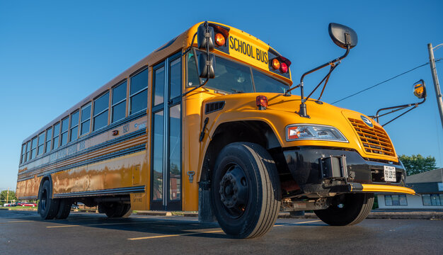 Belleville, IL, USA - Jul 11, 2020: Low-angle view of a yellow Blue Bird school bus parked beneath a clear blue sky, showing its front grille, mirrors and passenger entrance.