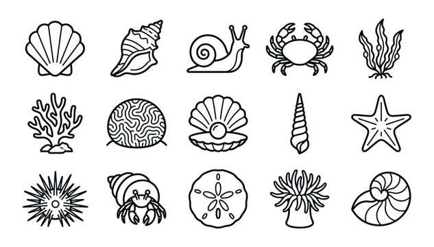 Minimalist black outline sea shells marine life ocean creatures beach nature vector linear web icons collection set