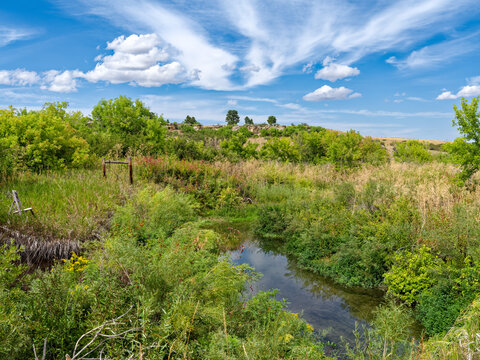 Pryor Creek flows through the thick foliage in the summer near Pryor, Montana, USA