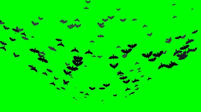 Flat vector bats spiraling upward in a swirling vortex on green screen, looping animation