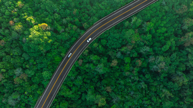 Aerial view of dark green forest road and white electric car Natural landscape and elevated roads Adventure travel and transportation and environmental protection concept	
