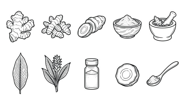 Fresh Ginger and Turmeric Root Icon Set Featuring Herbal Spice Powder Mortar and Botanical Leaf Vectors