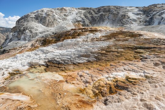 Sinter terraces, hot springs, orange mineral deposits, Palette Springs, Lower Terraces, Mammoth Hot Springs, Yellowstone National Park, Wyoming, USA