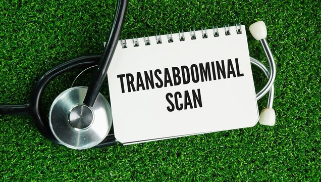 Stethoscope and paper with the word transabdominal scan is a safe, non-invasive imaging test where a technician moves an ultrasound probe over your lower abdomen.