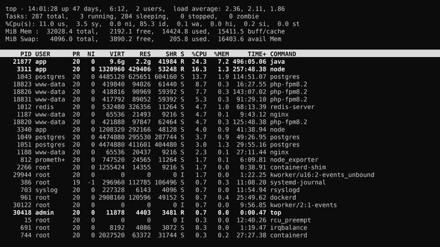 Top command run on a Linux server
