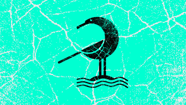 Coastal Beach Seagull, color vector illustration