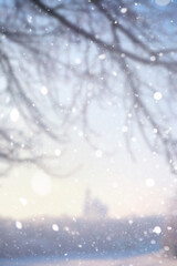 Blurred snow background. Winter landscape. Trees and plants covered with snow.