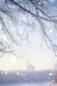 Blurred snow background. Winter landscape. Trees and plants covered with snow.