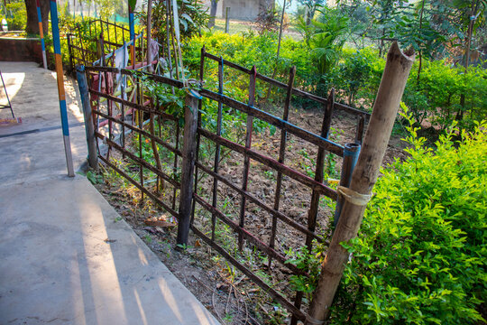 A rustic bamboo barrier adds natural charm, privacy, and traditional character to a cozy cottage surrounded by peaceful countryside greenery.