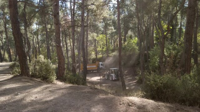 A municipal backhoe loader and dump truck perform park maintenance and earthmoving work in Camlik Park on a sunny day.