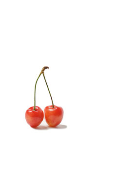 Pair of sweet red cherries with green stem casting shadow isolated white background