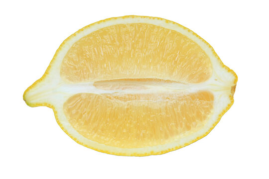Front view of longitudinal cut half of fresh organic yellow lemon showing pulp structure isolated white background