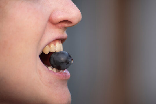 Person's mouth in close up holding a ripe purple grape between teeth, representing healthy eating, natural nutrition, and enjoying fresh fruit as a wholesome snack