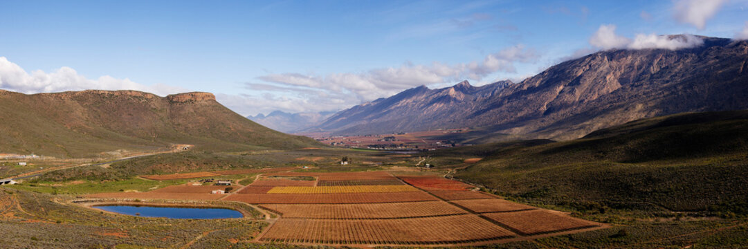 Hex river valley vineyards and mountains