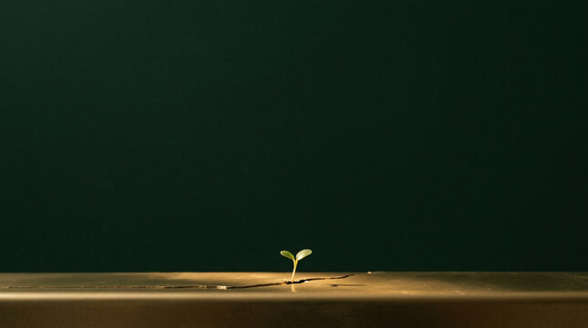 Seedling growing from a crack in a golden surface. Hope and resilience.