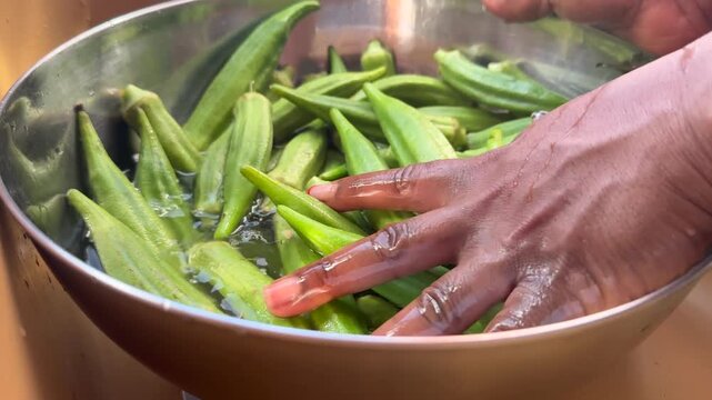 Close-up view of the left hand of a young african woman washing fresh okro in a siver bowl.