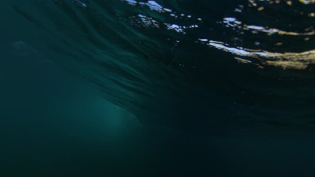 Blue ocean water darkens under rippled surface as midday sunlight flickers underwater view, slow motion backside as surfer carves down line