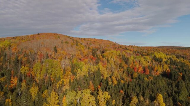 Aerial drone shot over mountains at peak fall colors, with vibrant orange, red, yellow and green foliage covering the forested slopes. Shot in 60fps for smooth slow motion. Gasp&eacute; Peninsula, Quebec, Ca