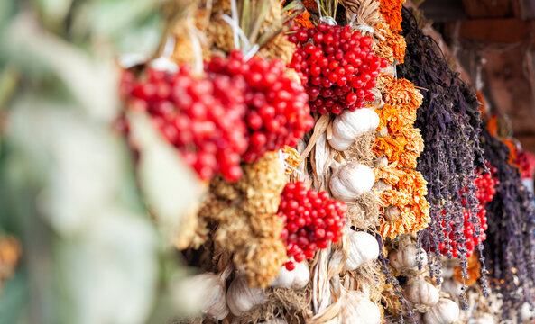 Dried garlic, red berries and herbs hang in colorful market bundles and showcase culinary textures