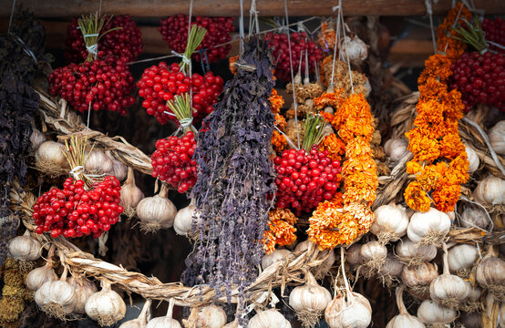 Dried garlic, red berries and herbs hang in market bundles and showcase rustic culinary textures
