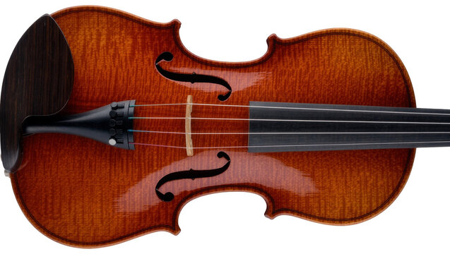 Polished brown wooden violin body with strings and ebony chinrest