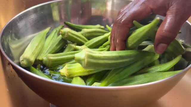 Closeup view of the right hand of a young black woman washing fresh okro for cooking in a silver color bowl.