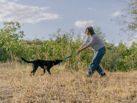 Young woman disciplining her black dog chewing on a leash during autumn walk outdoors