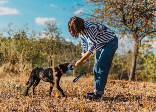 Young woman disciplining her black dog chewing on a leash during autumn walk outdoors