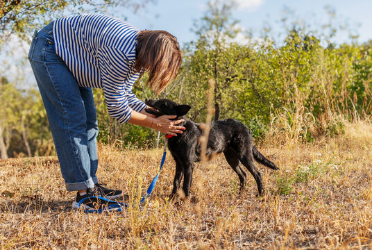 Young woman bending over and gently petting her black dog head during autumn walk