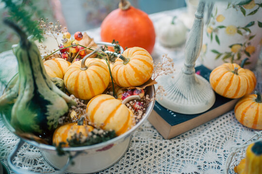 striped orange pumpkins and green gourd in white colander on lace table, cozy autumn harvest decoration featuring seasonal squash near vintage candlestick